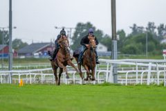 20240820-072429-DSC_4466