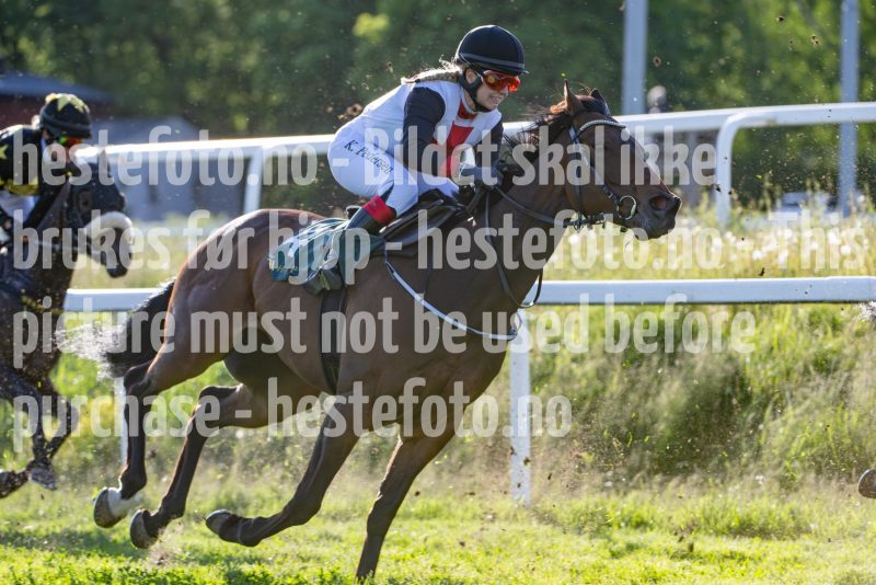 20250529-191323-DSC_7722