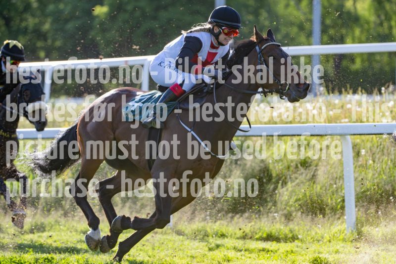 20250529-191323-DSC_7723