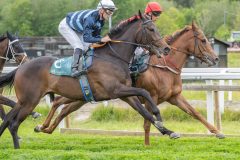20250529-175258-DSC4062