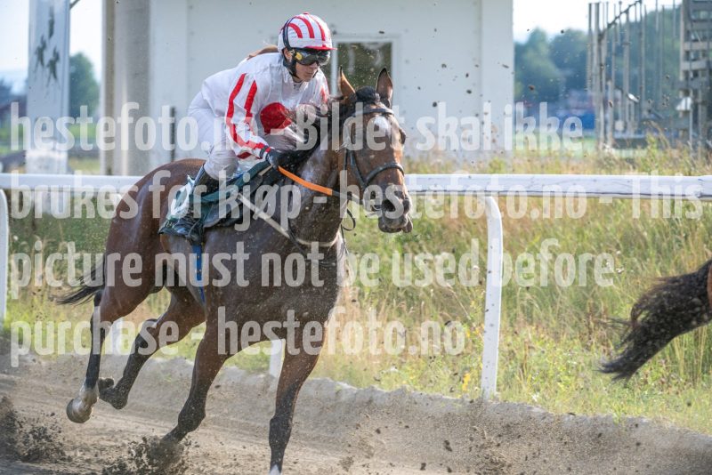20250724-182015-DSC_4823