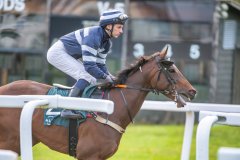 20261001-181444-DSC_5314