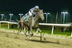 20261001-200502-DSC_9512