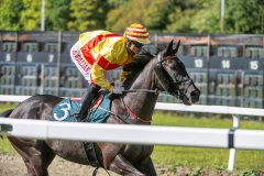 20260902-124142-DSC_3662