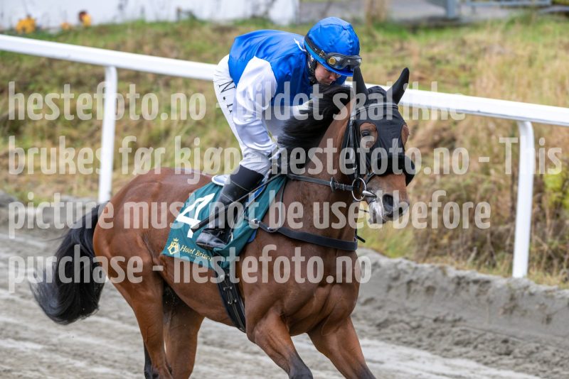 20251102-134128-DSC_8127