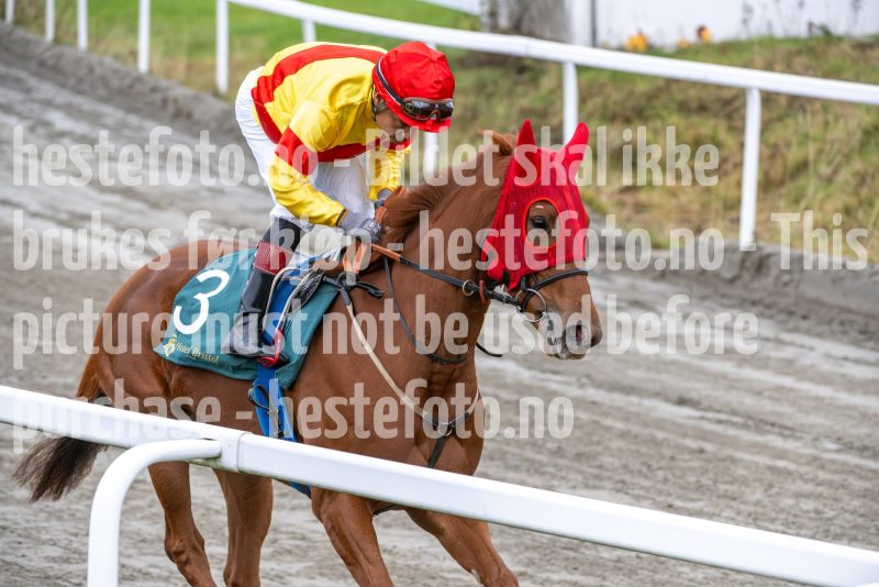 20251102-140708-DSC_8678