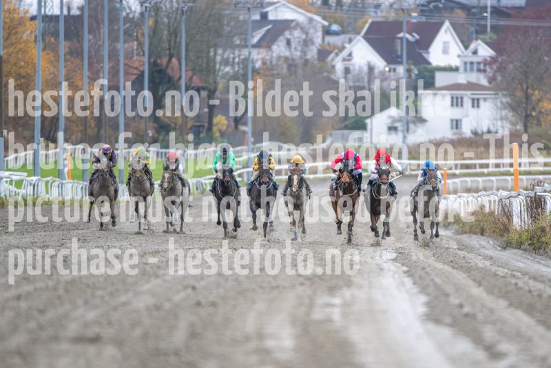 20251102-150822-DSC_0724
