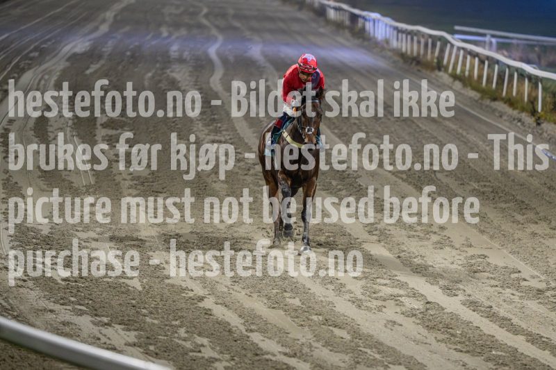 20251106-184632-DSC_4327