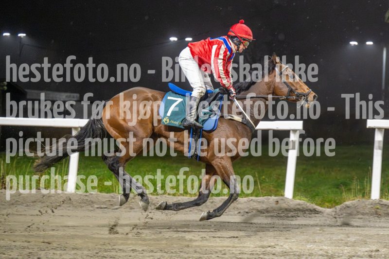 20251106-203243-DSC_5649