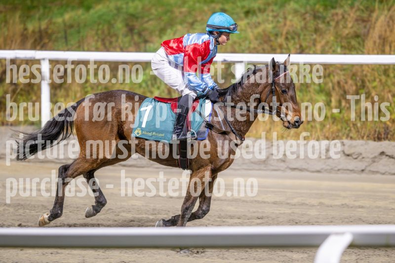 20251106-205125-DSC_5793