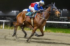 20251106-194353-DSC_4887