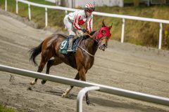 20251106-205111-DSC_5733