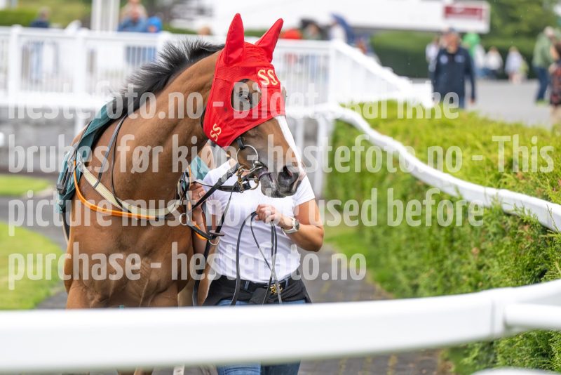 20250807-183017-DSC_7848