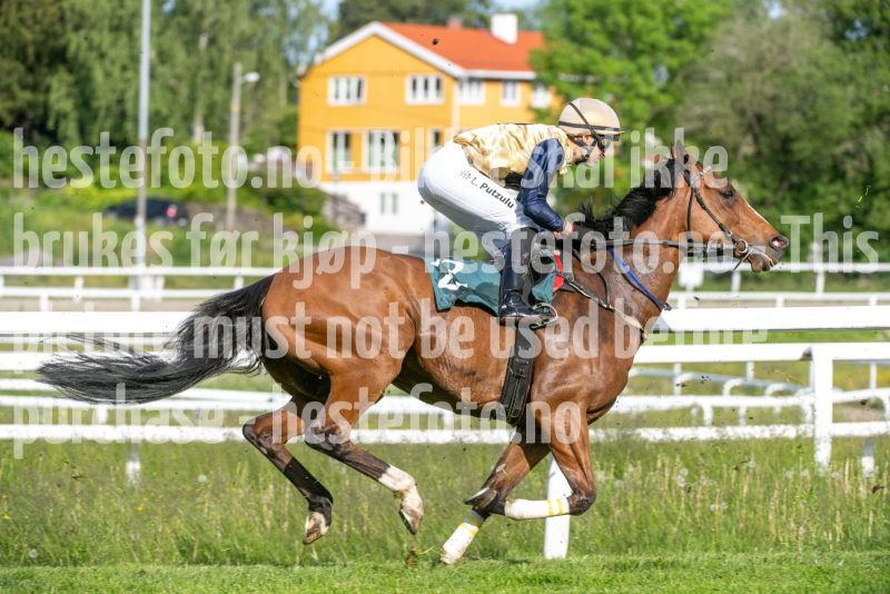20250612-181841-DSC_3171