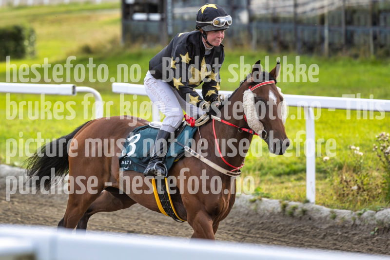 20260813-190139-DSC7184