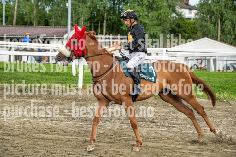 20260813-192603-DSC_7937