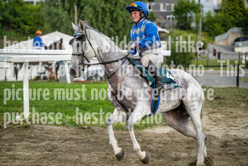 20260813-192610-DSC_8014