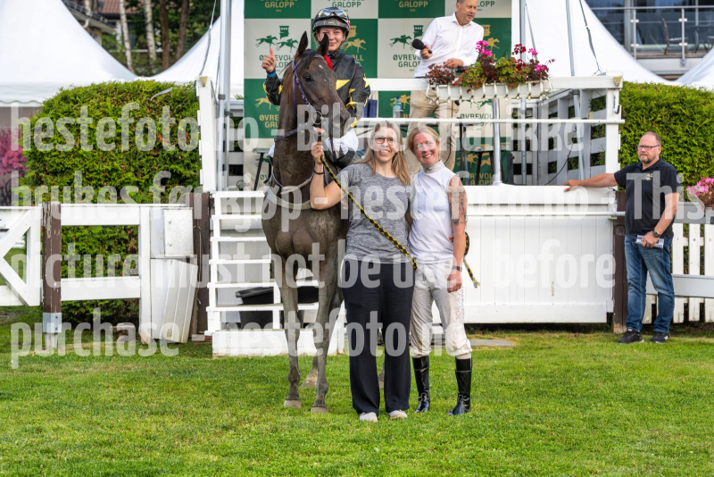20260813-193910-DSC7488