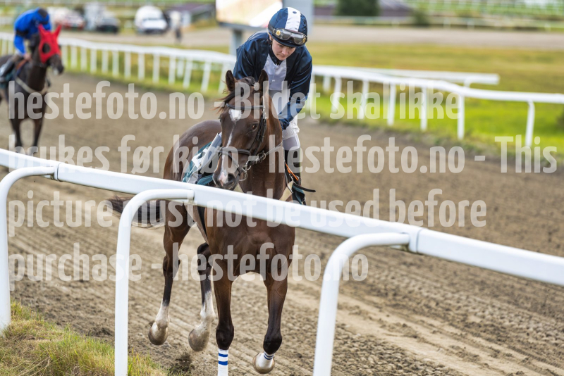 20260813-195142-DSC7641