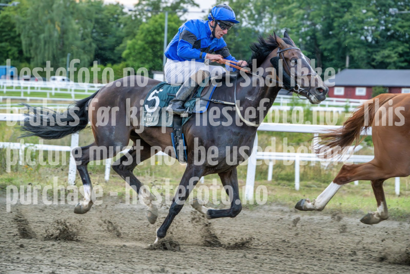 20260813-195856-DSC_9209