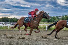 20260813-193416-DSC_8754