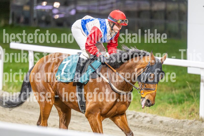 20251113-191114-DSC_1055