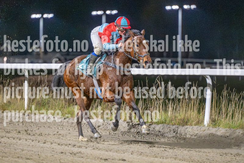20251113-191749-DSC_1094