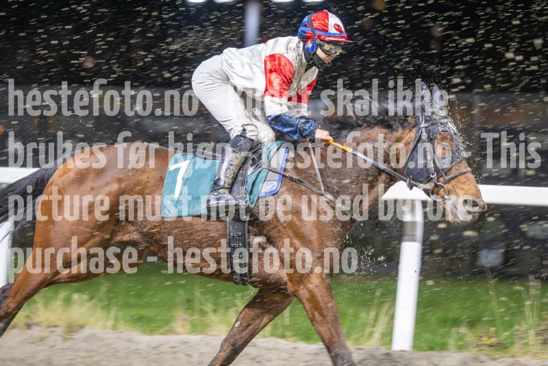 20251113-205112-DSC_9836