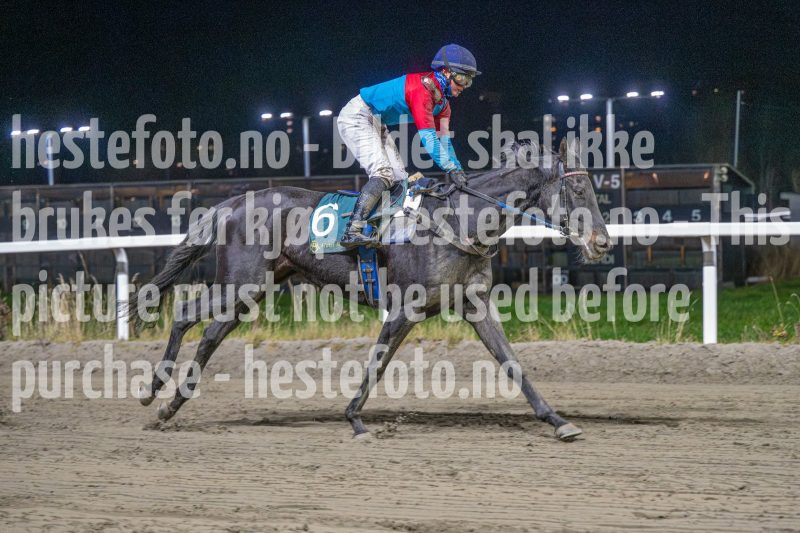 20251113-212107-DSC_1588