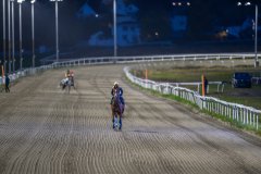 20261015-181111-DSC_7208