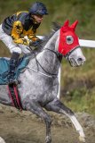 20261015-181141-DSC_7385