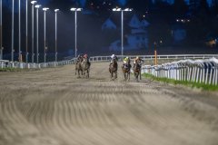 20261015-182048-DSC_7701