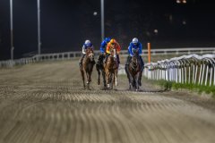 20261015-184214-DSC_8524