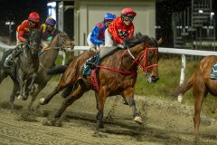 20261015-193216-DSC4757