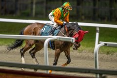 20261015-194958-DSC_1272