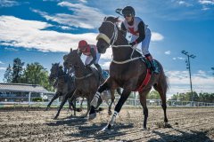 20260916-125746-DSC_9762