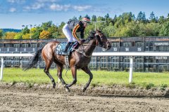 20260916-131938-DSC_2045