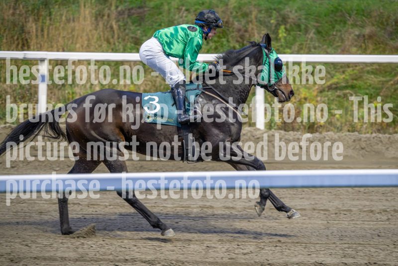20251016-181211-DSC_2389