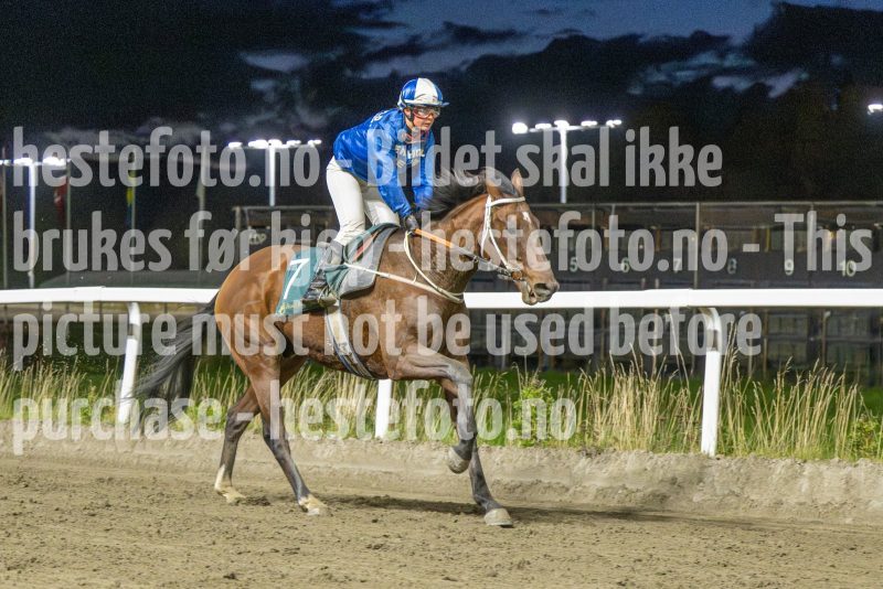 20251016-191106-DSC_3329