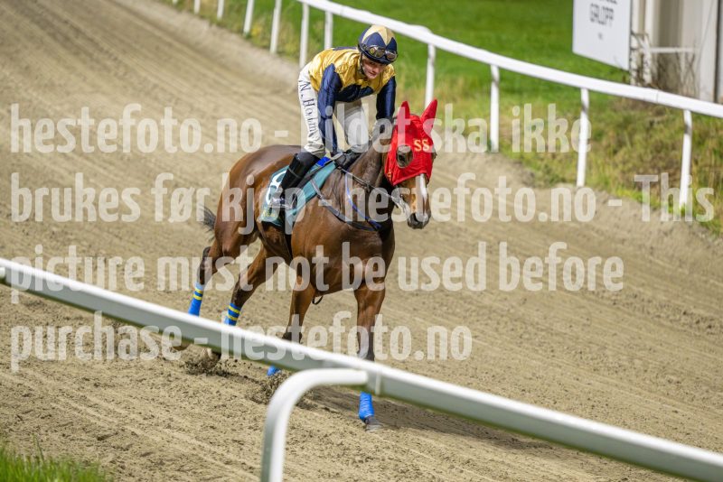 20251016-192908-DSC_3505