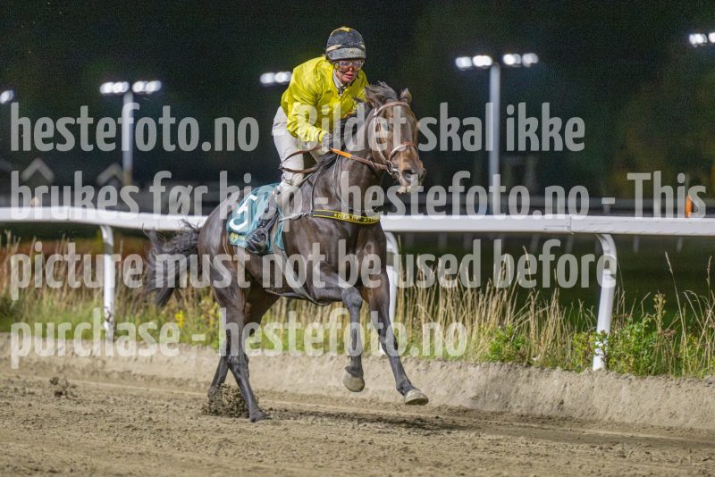 20251016-202413-DSC_4209