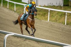 20251016-183809-DSC_2588