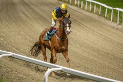20251016-201555-DSC_4005