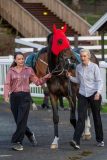 20250517-214811-DSC_7579
