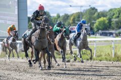20250917-134854-DSC_4032