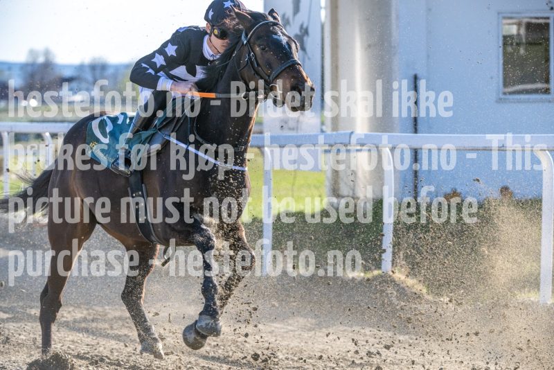 20260423-175557-DSC_8141