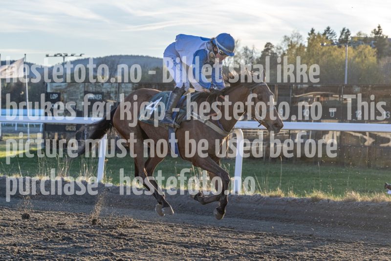 20260423-195903-DSC_1130