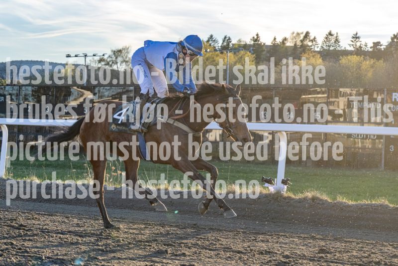 20260423-195903-DSC_1132