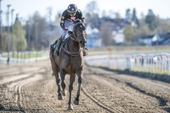 20260423-175736-DSC_8347