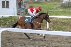 20260423-201657-DSC_1564